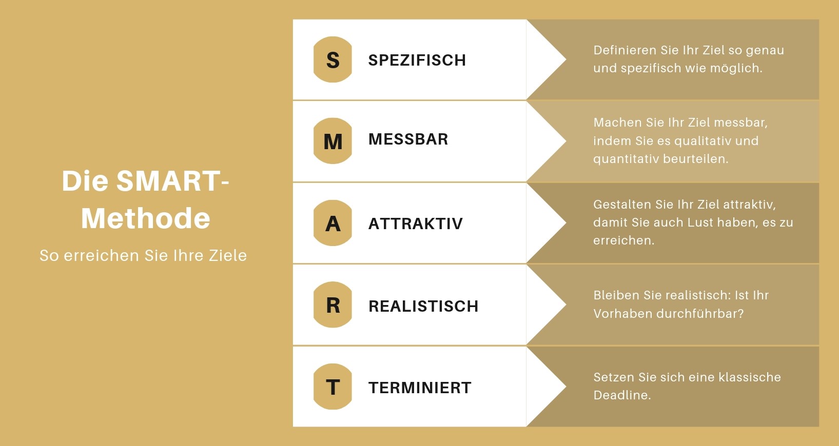 Mit Der Richtigen Zielsetzung Zum Erfolg - Lions And Gazelles